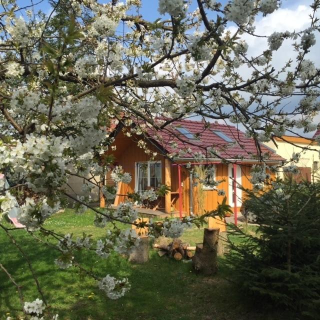 Ferienwohnung Niesky Quarto foto